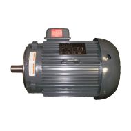 Motor, 10 HP