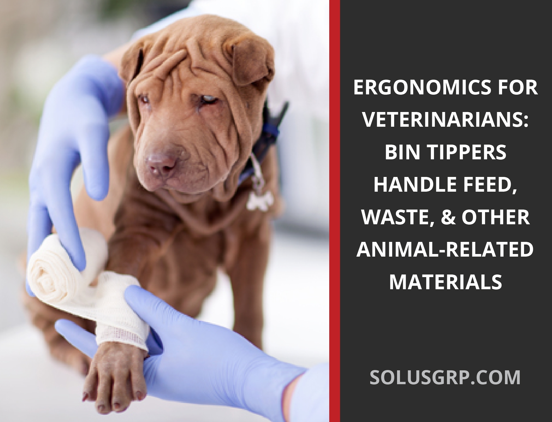 Bin Dumpers can be used by Veterinarians for feed, waste, and other animal-related materials