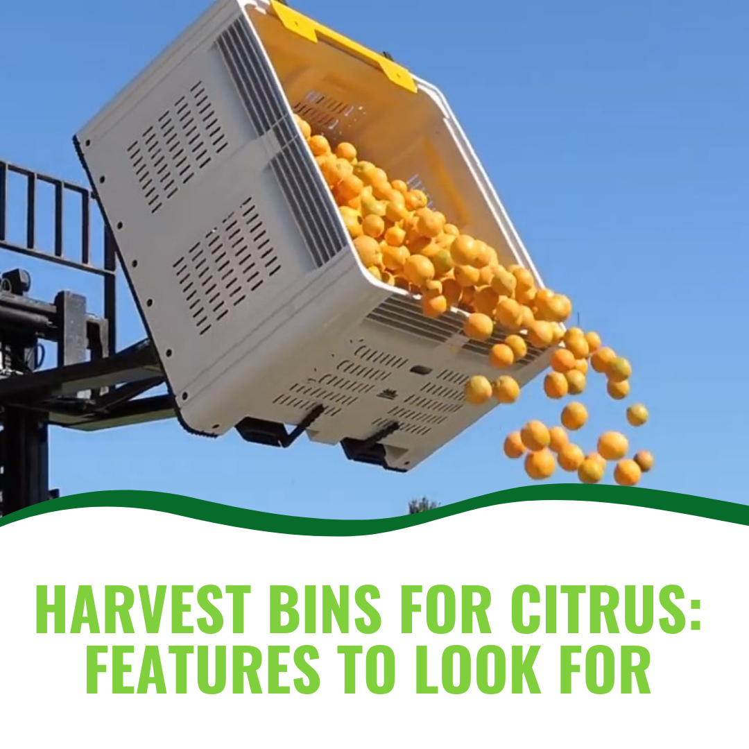 Harvest Bins for Citrus: Features to Look For