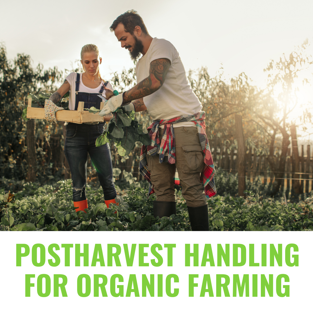 Postharvest Handling For Organic Farming Blog