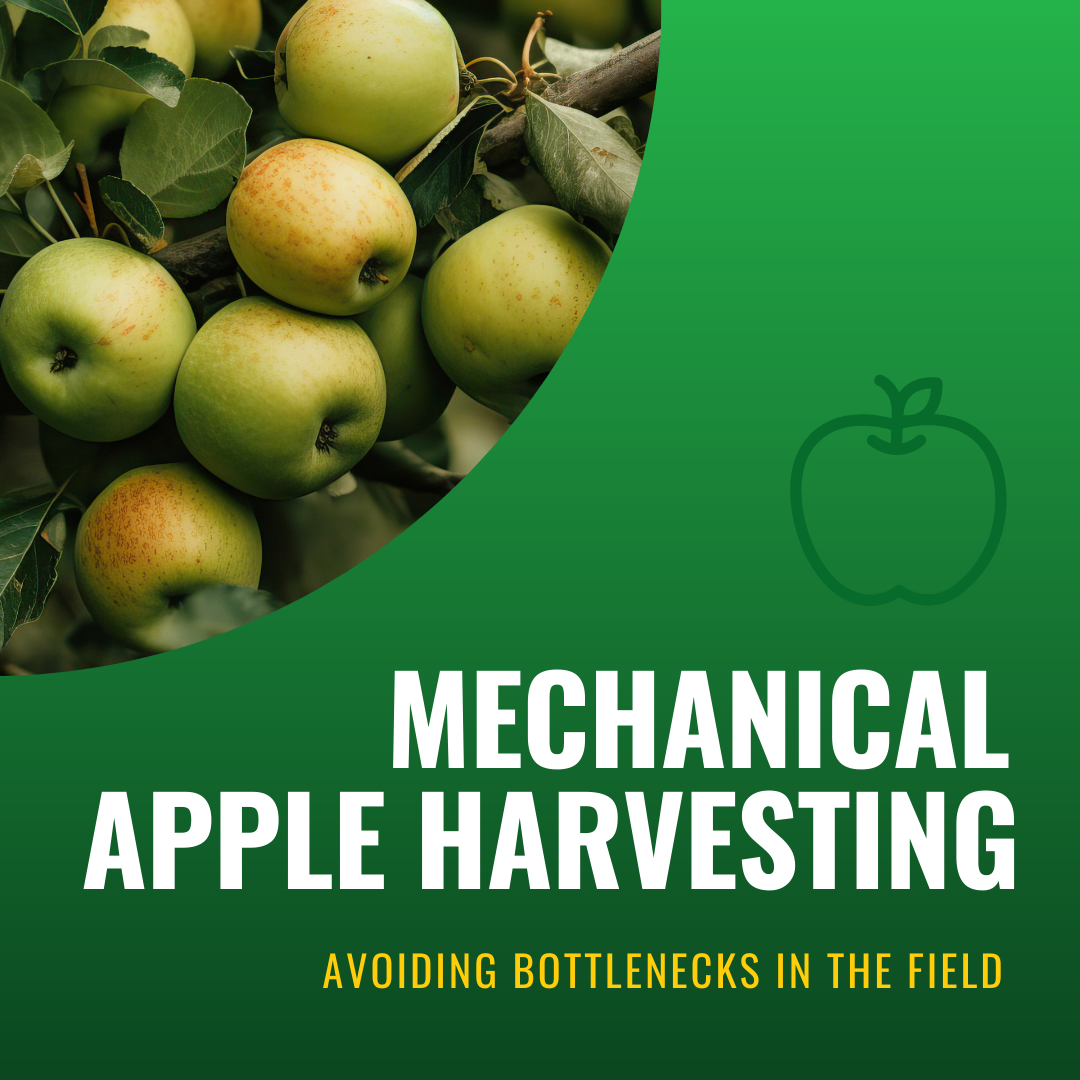 Mechanical Apple Harvesting: Avoiding Bottlenecks in the Field