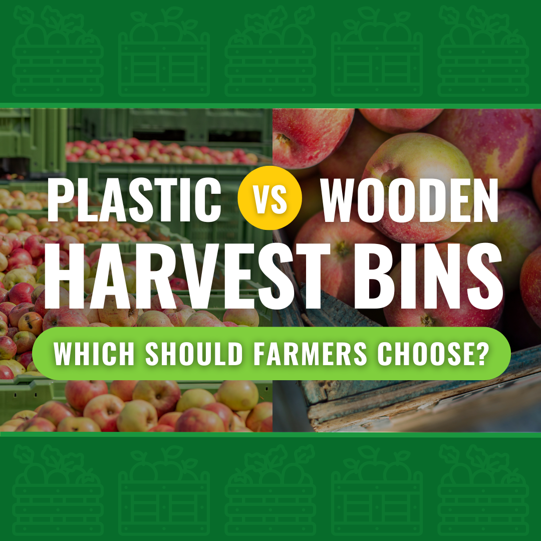 Plastic Harvest Bins or Wood Bins: Which Should Farmers Choose?