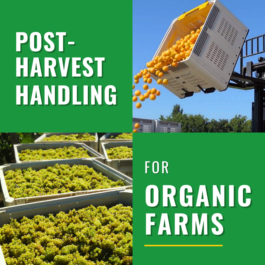 Postharvest Handling for Organic Farming